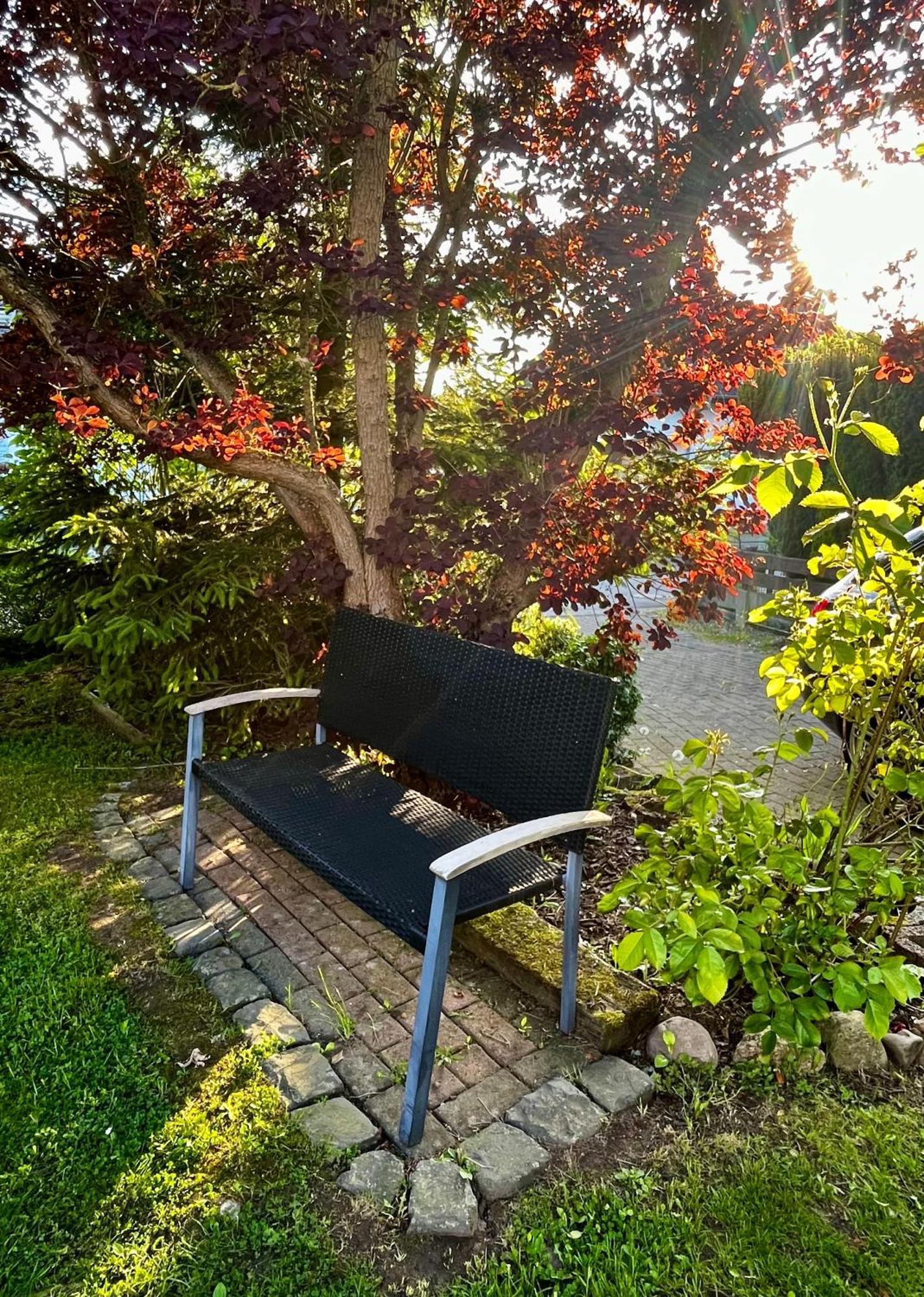Ferienhaus Windmuehlenweg Mit Grossem Sonnigen Garten -Neu- Spenge ภายนอก รูปภาพ